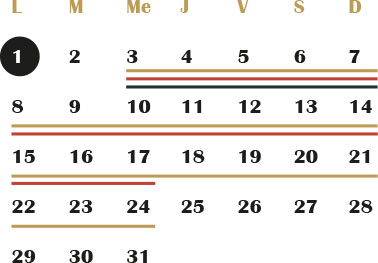 calendrier cicatrisation tatouage par Boun Tattoo